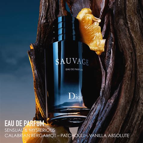 dior sauvage notes edt|Dior Sauvage edt fragrantica.